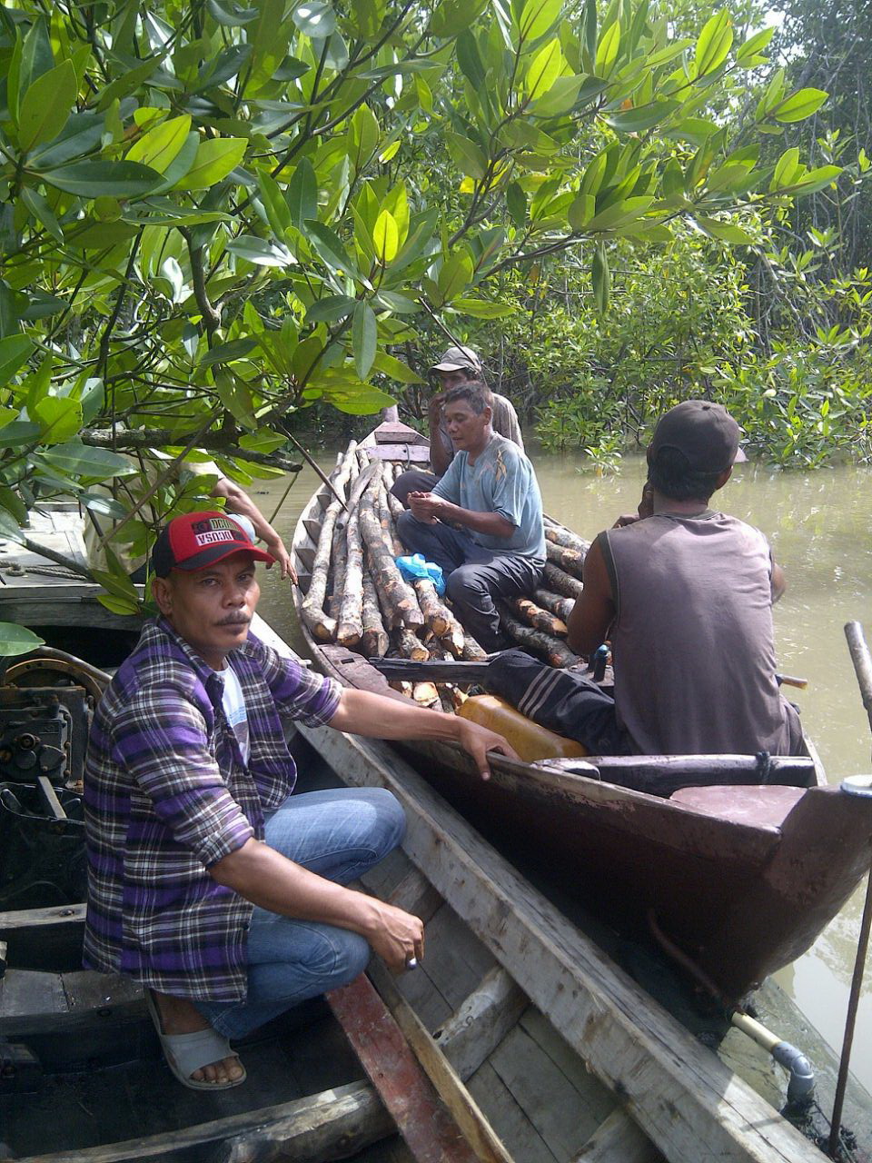 warga menangkap pencuri mangrove